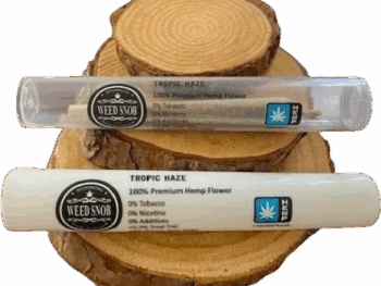 Hemp pre-rolled cigarettes